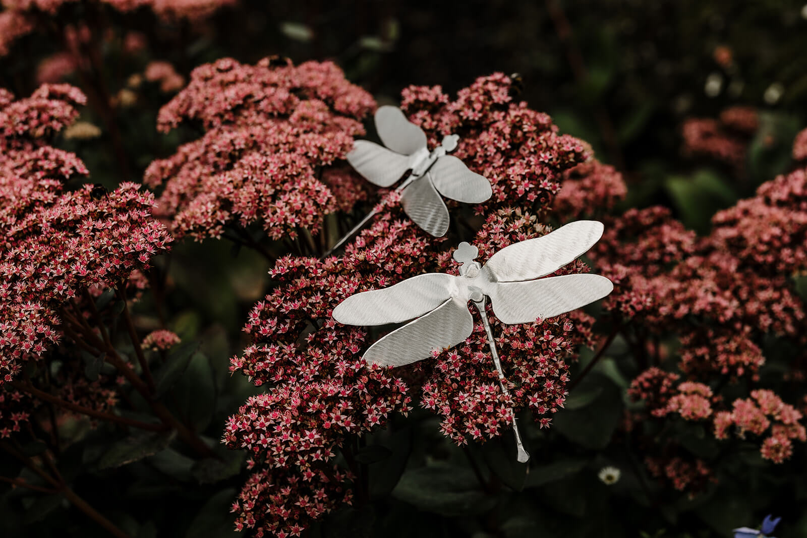 Stainless steel dragonflies amongst flowers.