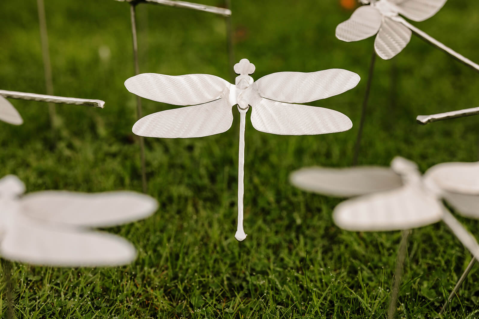 Stainless steel dragonfly in grass.