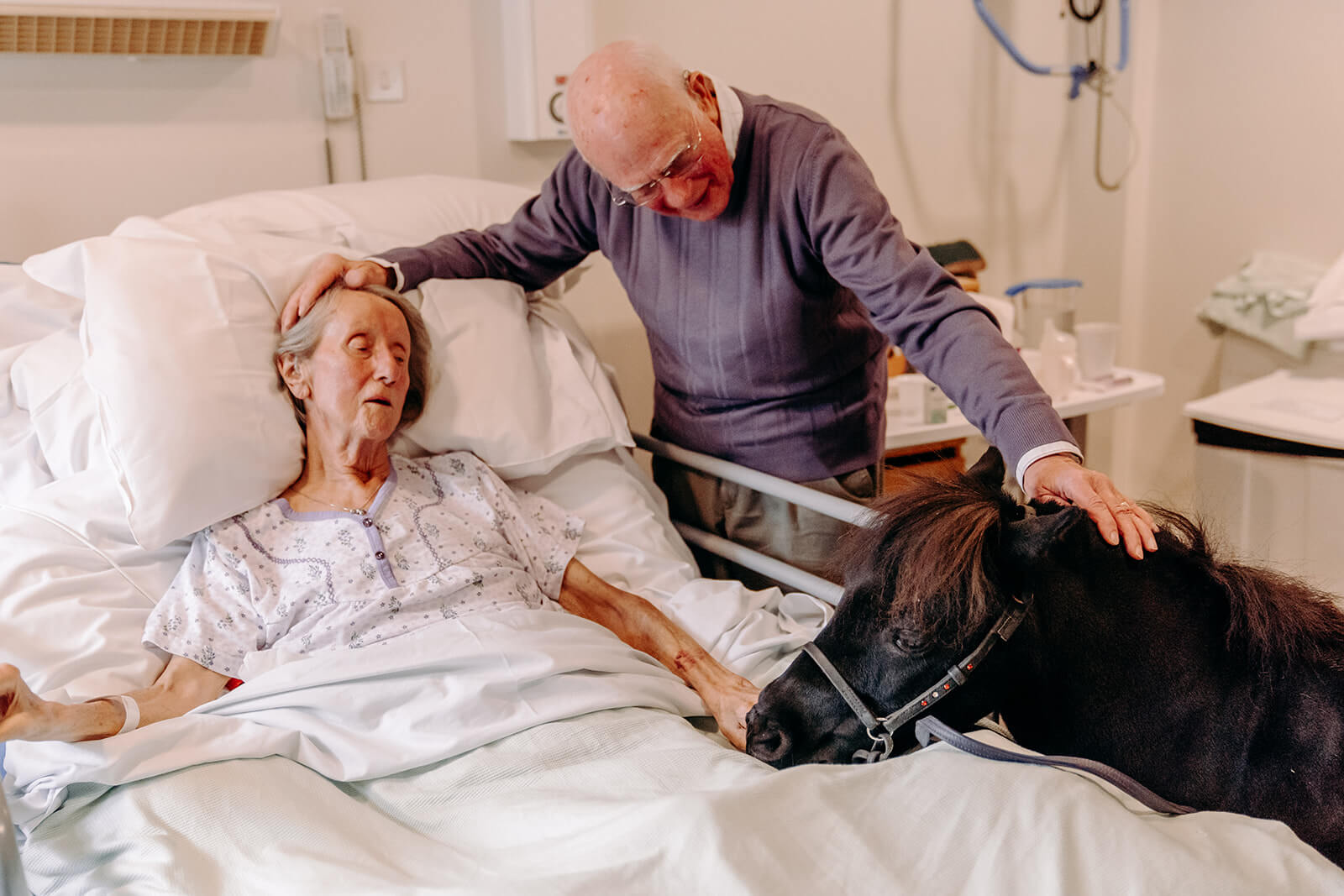Sue in a bed at Ashgate Hospice with Barry stood by her side. They are both stroking a pony who is at Sue's bedside.